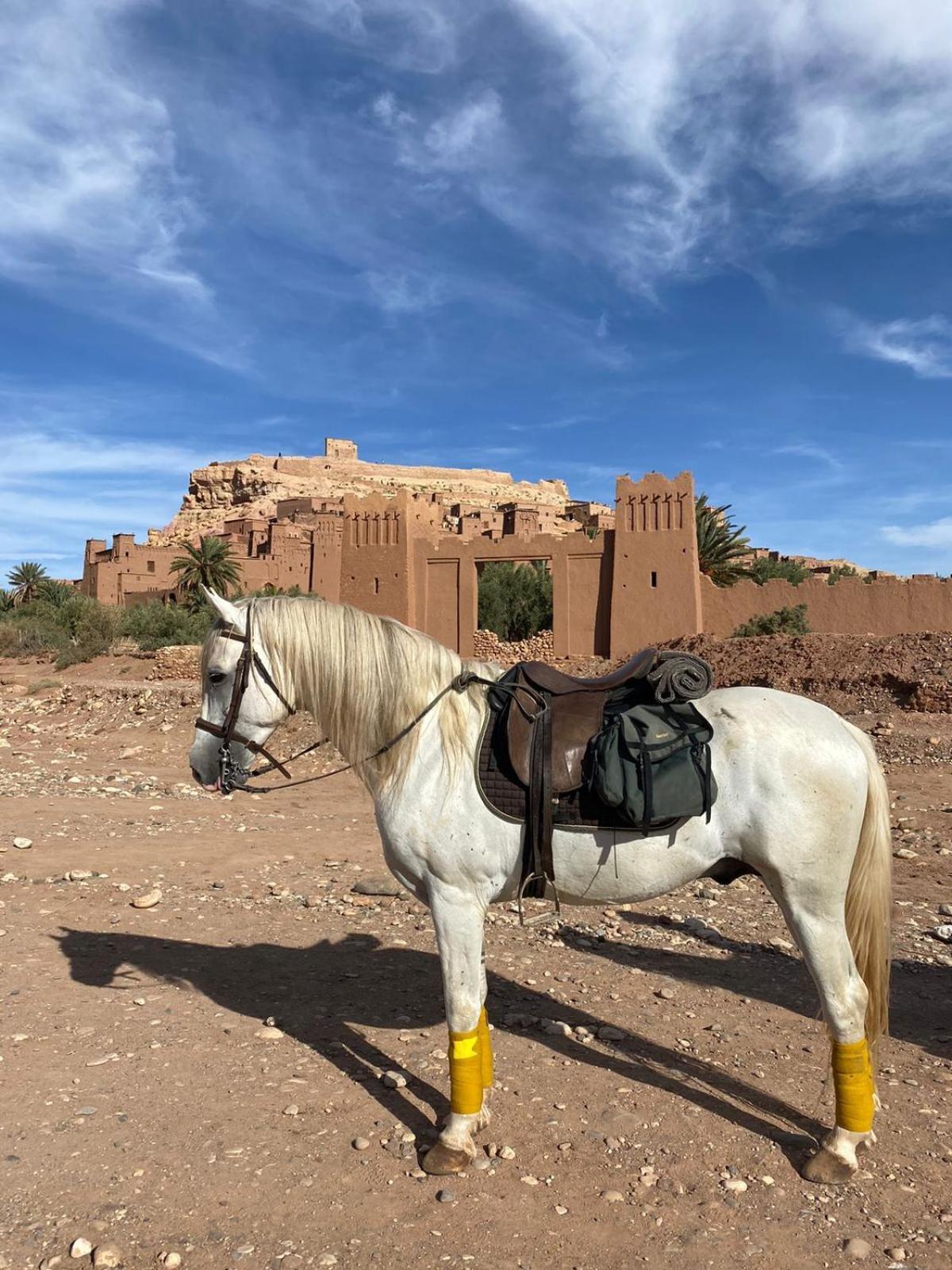 Taman'Art Space Aït Benhaddou Dış mekan fotoğraf